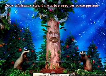 Forêt du Père Noël (064) Blaireaux